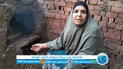  بعد قرارات الحكومة.. رسالة للرئيس من سيدة بالمنوفية (فيديو)