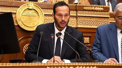 حلاوة: مخطئ من يتصور أن أطماع الاخوان في الحكم لن تتعدى الدولة المصرية