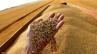 عاجل.. الأمم المتحدة تدعو للحفاظ على اتفاق تصدير الحبوب بعد إعلان روسيا تعليق المشاركة