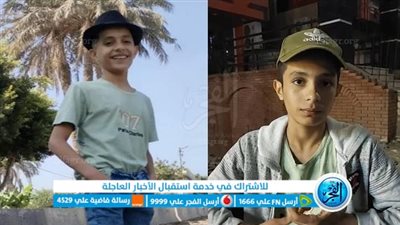 شجاعة طفل تنقذ طفلة من الموت صعقًا بكهرباء عمود إنارة في بني سويف (فيديو وصور)