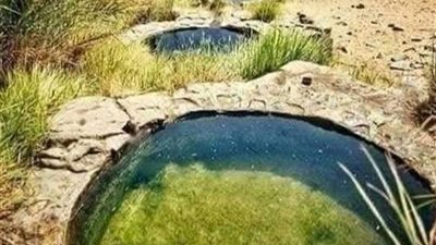 كل ما تريد معرفته عن محمية عين السرو بواحة الفرافرة