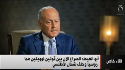 أبو الغيط: الوضع الدولي الحالي متوتر وفي خطر