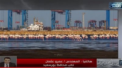 نائب محافظ بورسعيد: مهرجان عالمي لمراقبة الطيور المهاجرة 