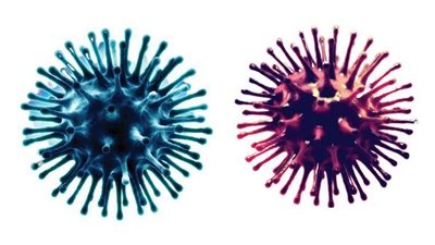 استشاري الحميات والأمراض المعدية يوضح الفرق بين نزلات البرد وفيروس كورونا المستجد