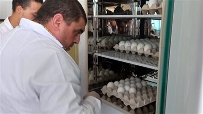 معايرة اللقاحات الحية بطب بيطري المنوفية: انطلاقة لتحويل المعمل المركزي إلى مرجعي معتمد