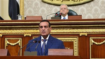 التنمية المحلية: 600 مليون جنيه لمواجهة تحديات ومخاطر موسم السيول والأمطار الغزيرة