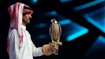 بيع 4 صقور بـ 296 ألف ريال في الليلة الـ 24 لمزاد نادي الصقور السعودي