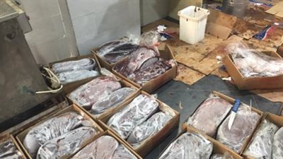 سقوط صاحب مخزن مواد غذائية فاسدة بالمرج