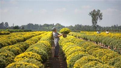 طريقة الحصول على دعم برنامج