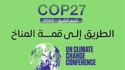 برلماني: أنظار العالم تتجه لمصر لمتابعة 