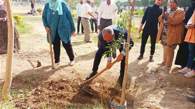كلية الخدمة بجامعة حلوان تطلق المعسكر البيئي لتشجير وتجميل الكلية