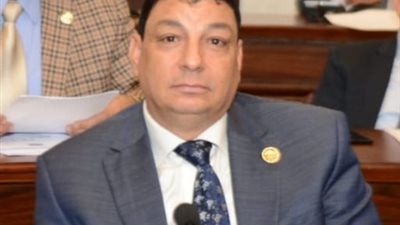 برلماني: استضافة مصر قمة المناخ بهذا الحجم وحضور القادة العالميين يدعو للفخر