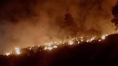 حريق في موقع لتجميع قش الأرز في الدقهلية 