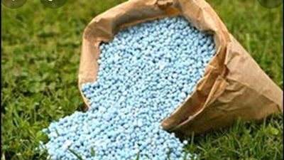 أسعار الأسمدة فى مصر اليوم الاثنين 7 نوفمبر 2022 