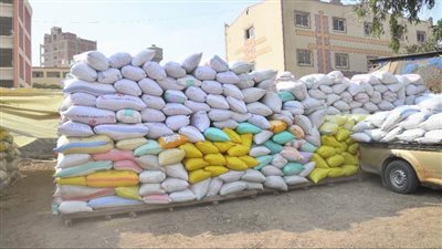 الغربية تستقبل 27 ألف طن أرز خلال موسم 2022