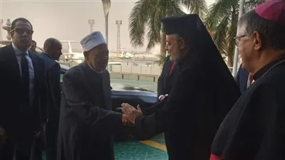 أمين سر دولة حاضرة الفاتيكان يصل مطار القاهرة للمشاركة بمؤتمر كوب 27