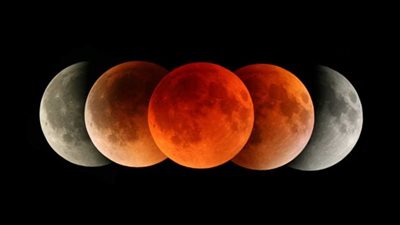 الانقلاب الشتوي وقلب العقرب.. 6 ظواهر فلكية قبل نهاية 2022 