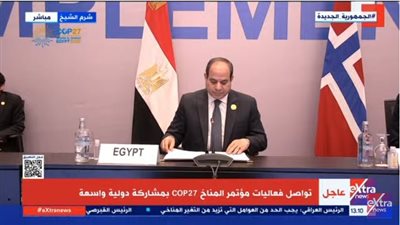 السيسي يُعلن تفاصيل المرحلة الأولى لمشروع الهيدروجين الأخضر باقتصادية قناة السويس