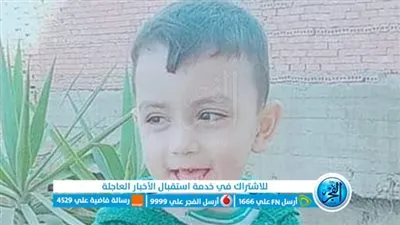 مصرع طفل من المنوفية إثر تصادم سيارة كسح وتوك توك