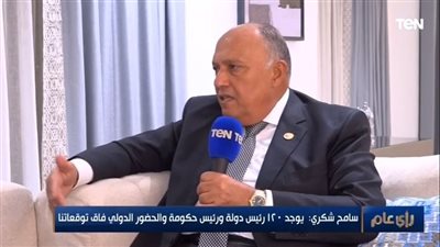 وزير الخارجية: تراجع بعض الدول في التزامتها بتخفيض انبعاثتها الحرارية