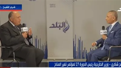 وزير الخارجية: لا توجد دولة نالت الكمال في حقوق الإنسان (فيديو)