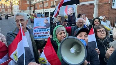 المصريون في بريطانيا ينظمون وقفة تأييد لمصر