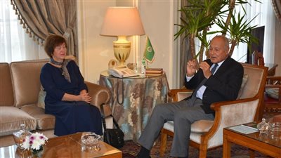  أبو الغيط يؤكد ضرورة إنهاء الفراغ الرئاسي بلبنان في أقرب وقت