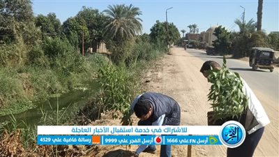 تزامنًا مع مؤتمر قمة المناخ COP27.. محافظ الفيوم: زراعة 5 آلاف شجرة بمختلف مراكز وقرى المحافظة