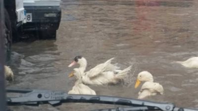 محافظ الإسكندرية يكشف تفاصيل استراتيجية قومية لإدارة مياه الأمطار (فيديو)