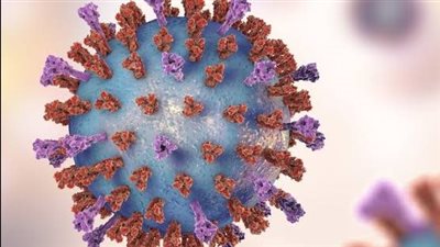 عضو الجمعية المصرية للحساسية والمناعة يكشف مفاجأة صادمة عن فيروس المخلوي التنفسي 