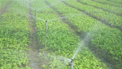 متخصص: تطوير الري الحقلي يوفر 30% من مصادر المياه