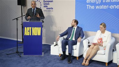 وزير الري يشارك في جلسة 