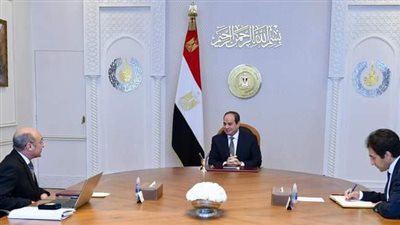 السيسي يعرب عن تقديره لجهود القضاة في سرعة إنهاء قضايا محاكم الأسرة