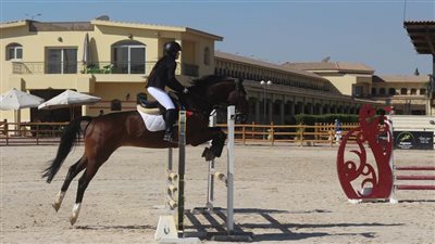 تعرف على منافسات اليوم الثانى من الحلقة الرابعة لبطولة الجمهورية للفروسية