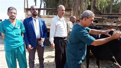غدًا.. انطلاق فعاليات الحملة القومية لتحصين الثروة الحيوانية بأسوان