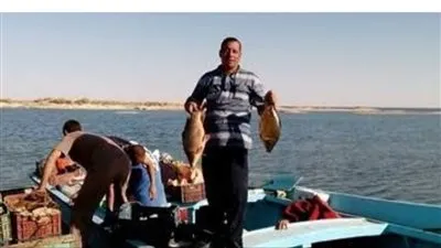 الوادي الجديد: الانتهاء من طريق خدمة مزارعي أراضي مفيض باريس 