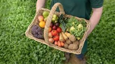 ما الطعام العضوي ولماذا يفضله العديد من الناس
