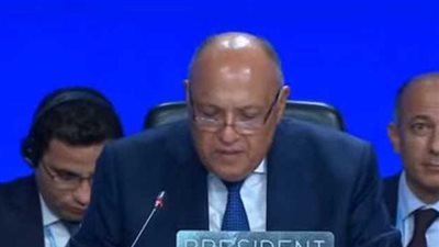 سامح شكري يناشد بالتصويت على القرارات التي ستعرض لمصلحة المناخ