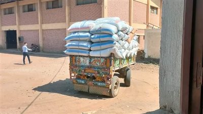 تحرير 12 محضرا للمزارعين الممتنعين عن توريد الأرز بالإسكندرية