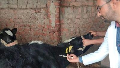 البحوث الزراعية تحسمها: 