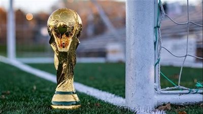 كأس العالم قطر 2022.. جدول مباريات المجموعة الثامنة 