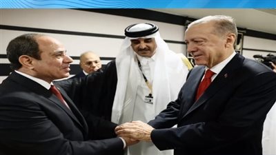 شاهد.. ما قاله أردوغان بعد لقاءه مع السيسي في قطر