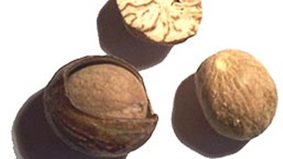 تأثيرها مثل المخدرات.. كل ما تريد معرفته عن 