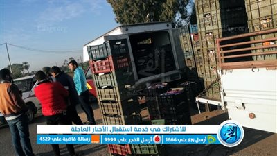 قبل بيعها للتلاميذ.. التحفظ على كمية باتيه منتهية الصلاحية في بني سويف