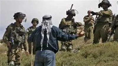 مسئول فلسطيني: عشرات المستوطنين استولوا على مساحات واسعة بالضفة الغربية