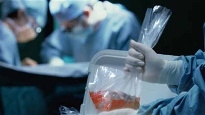 متحدث الصحة: القانون لم يشترط توثيق التبرع بالأعضاء في الشهر العقاري