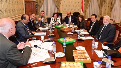 إلزام شركات رحلات البالون بعمل وثيقة لتأمين الركاب ضد الحوادث