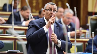 برلماني يطالب 