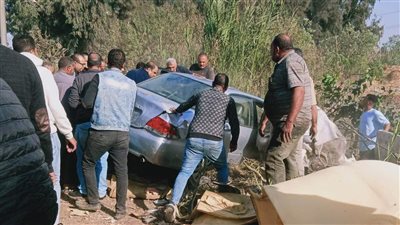 تفاصيل إصابة 4 أشخاص في حادث على طريق بالدقهلية