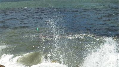 الأرصاد تحذر من طقس غد الجمعة بسبب هذه الظاهرة 